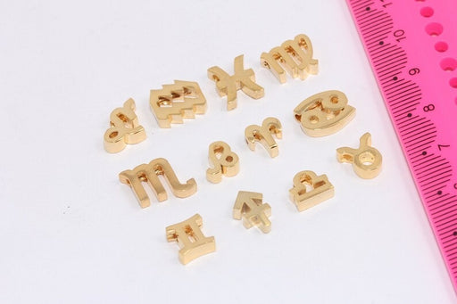 Astrology charms, Horoscope