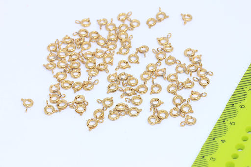 Brass Spring Clasp
