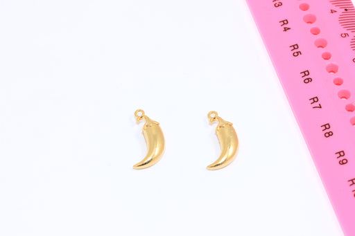 Spicy Pepper Pendant, Vegetable Charms