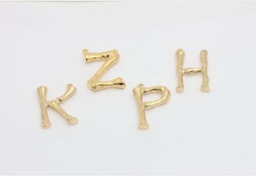 25x35mm 24k Shiny Gold Bone Charm, Bamboo Charms, Letters , Brc1