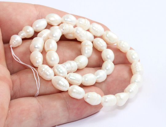 7x10mm Natural Pearl Bead Strand, Genuine White Pearls, CHK518