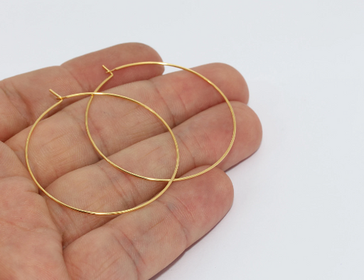 Earring Hoops