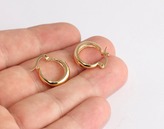 Earrings, Leverback
