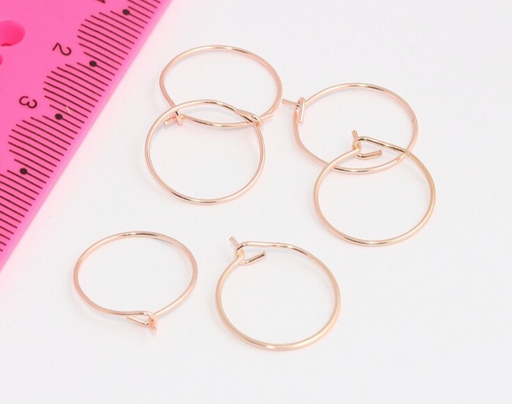 Hoop Ear Wires