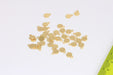 Brass Coin Charms