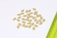 Brass Oval Coins