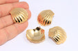 Sea Shell Stud Earrings
