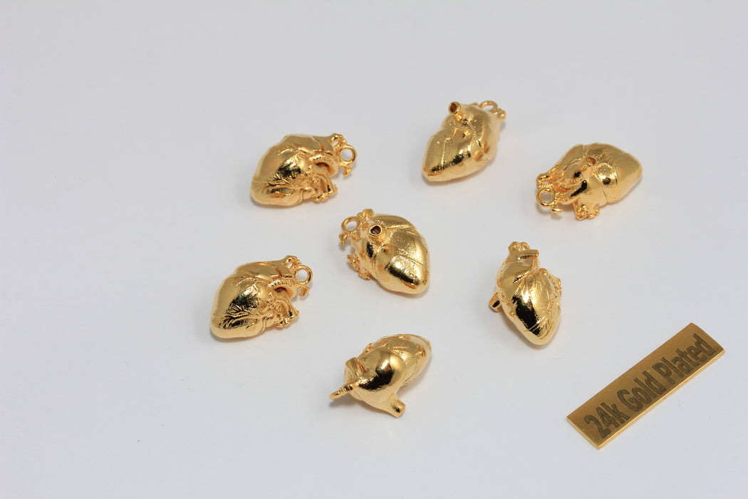 10x17mm 24k Shiny Gold Cardium Human Heart Charm, Minimalist Anatomical Heart Charm, MTE723