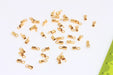 Brass Crimp Beads