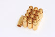 Shiny Gold Magnetic Clasps