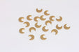 Brass Horn Charms