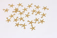 Brass Starfish Charms