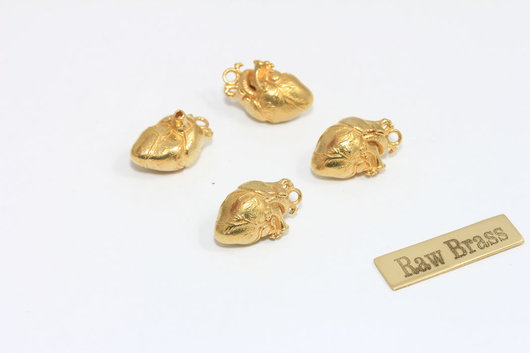 10x17mm Raw Brass Cardium Human Heart Charm, Minimalist Anatomical Heart Charm, Raw Brass Findings, MTE28