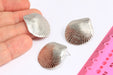 Sea Shell Stud Earrings, Silver Earrings, Shell Earrings