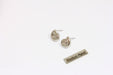  Sea Shell Stud Earrings