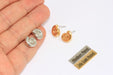 Sea Shell Stud Earrings