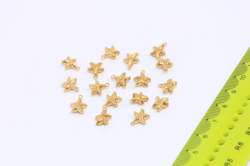 Brass Starfish Charms