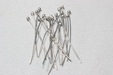 Ball Head Pins