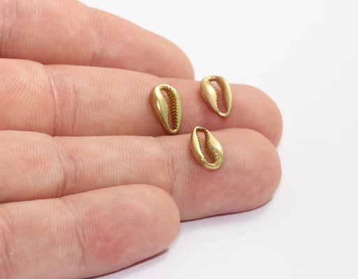 Brass Cowrie