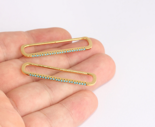 Shiny Gold Ear Charms