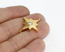 Shiny Gold North Star