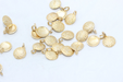 Brass Coins