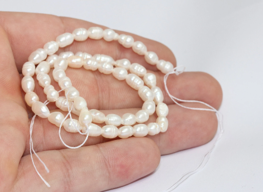 5x7mm Natural Pearl Bead Strand, White Freshwater , CHK476