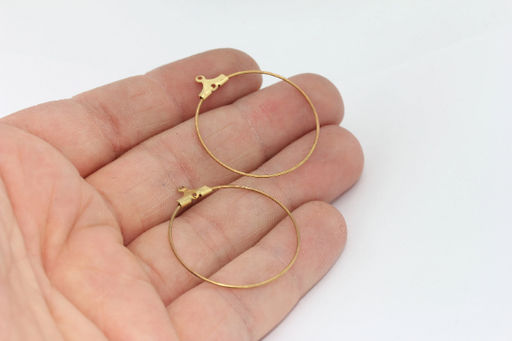 Brass Earring Hoops