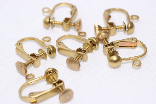 Screw Back Earring