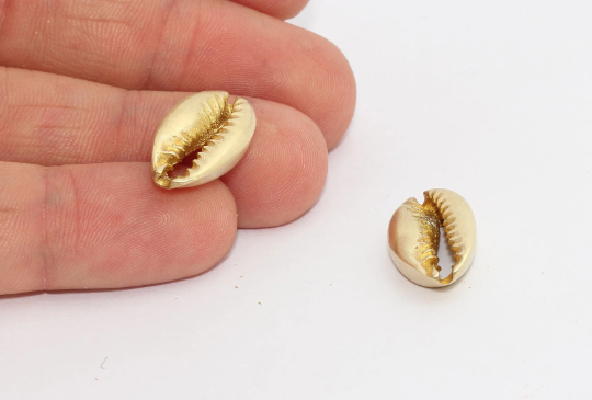 10x15mm Raw Brass Cowrie, Cowrie Charms, Cowrie Shell MTE906