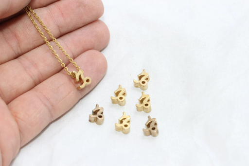 Brass Capricorn Charms