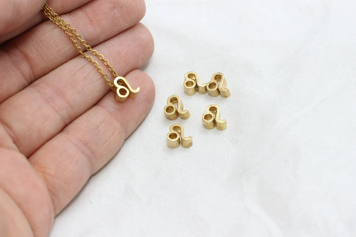 Brass Leo Charms